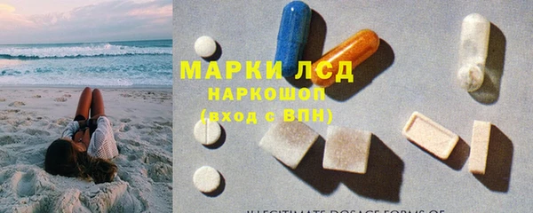 сатива Алзамай