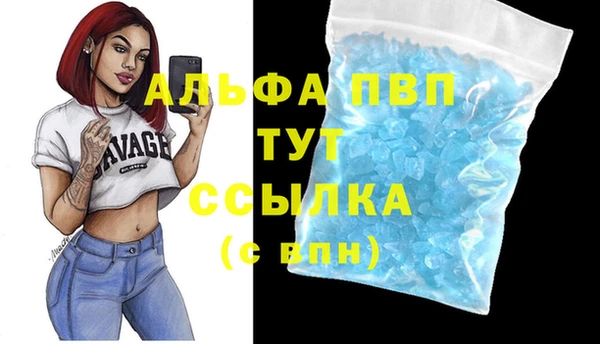 сатива Алзамай