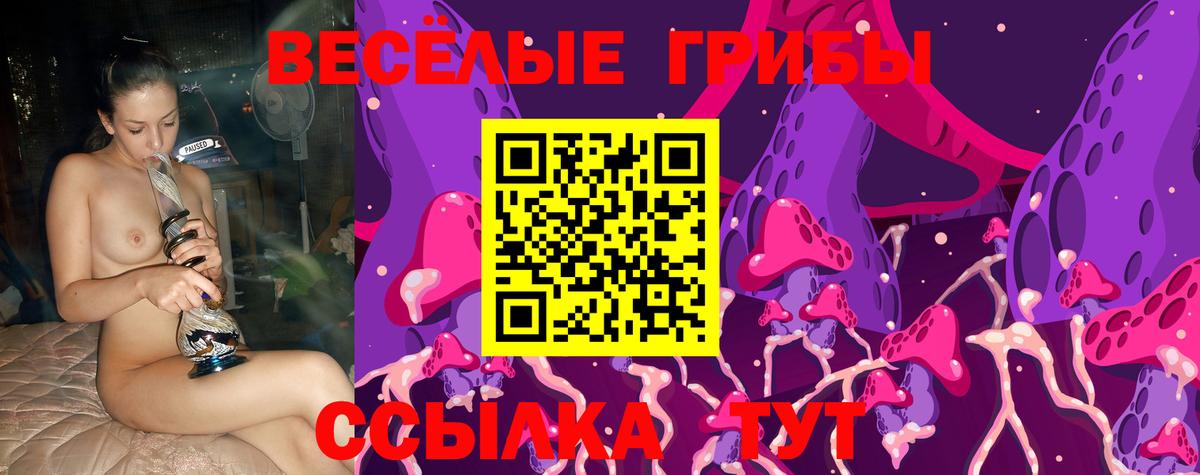 Псилоцибиновые грибы ЛСД  Вход с VPN  Псилоцибиновые грибы MAGIC MUSHROOMS  Красногорск 
